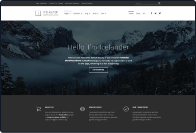 wordPress